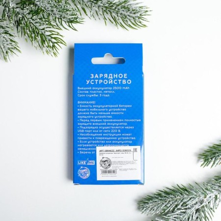 New Year's charger "Real Men", 2500 MAH-5