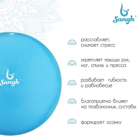 Sangh yoga ball, d = 25 cm, 100 g, blue color-1