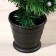 Fibrooptic Christmas tree "light" 90 cm d of the lower tier 50 cm 79 branches