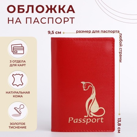 Cover for passport, red color