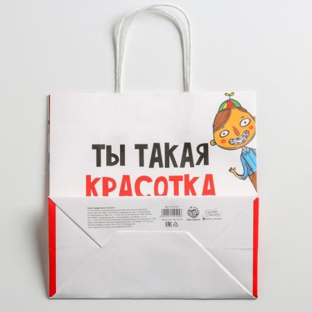 Gift package, packaging, "beauty", 22 x 22 x 11 cm-3