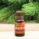 Aromamaed 15 ml "New Year in Russian!", Eucalyptus