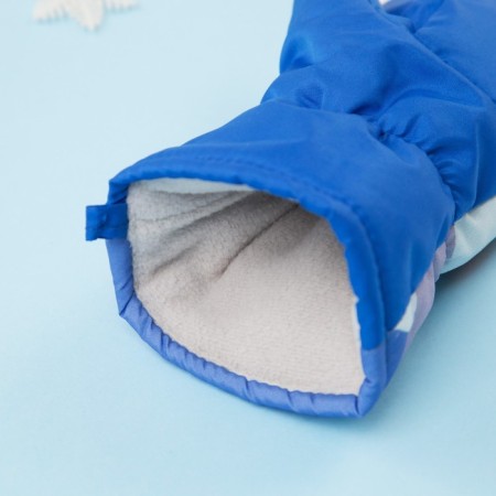 Mittens (mittens) Winter Patrol "Gonchik" rr 13 (3-4 years), blue-4