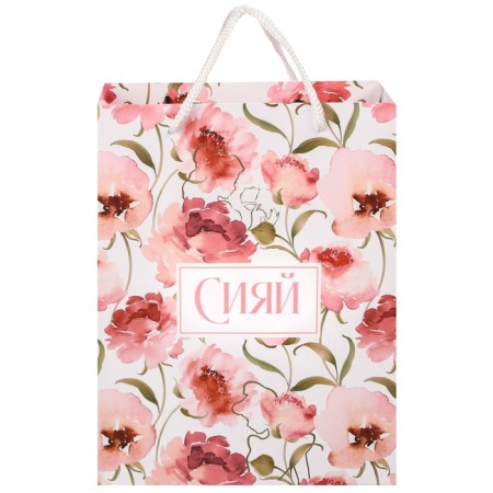 Gift package "Shine" 18x23x10 cm, packaging, princesses-2