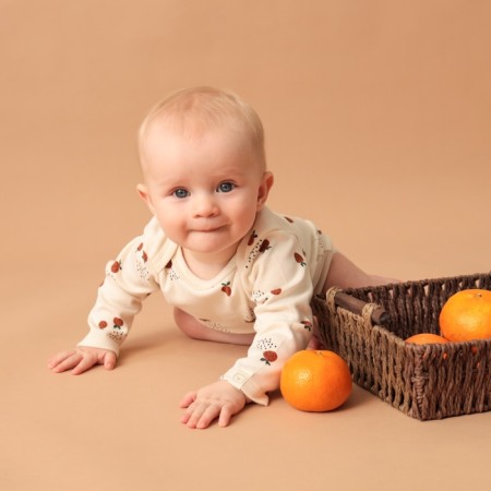 Body with DL. Sleeve Kroshka I oranges p. 62-68, milk-2