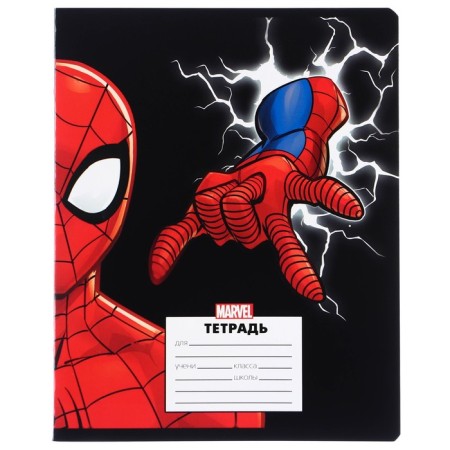 Notebook in a cage 24 sheets, 5 types of mix, partial UV-pk, cover covering cardboard, avengers-2