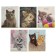 Notebook of 48 sheets in Calligrata Cute Cute kittens, covered cardboard, block No. 2, whiteness 75% (gray sheets), mix