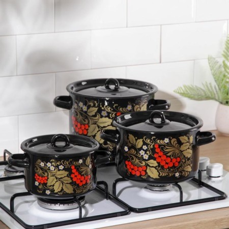 Set of pots “Ryabina”, 3 subjects: 1.5 l, 2.9 l, 4.5 l, enameled covers, induction-3