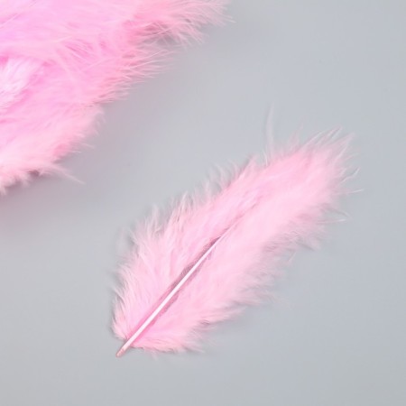 A set of feathers for creativity 30 pcs (14-17 cm), pale pink-2