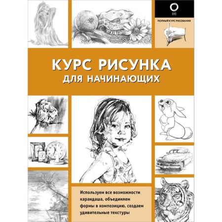 Figure course for beginners