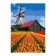 Diamond mosaic "Mill over the tulip field", Poln. Filling 21 × 30 cm