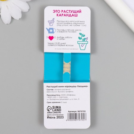 Growing gift pencils mini dream "clove"-1