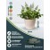 Kashpo for flowers and plants, 12 liter sand 31x31x24.5cm