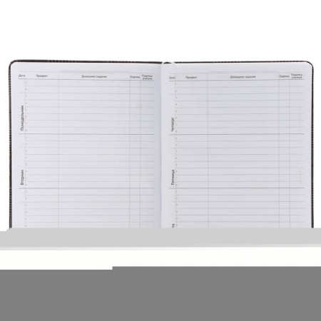 School diary for grade 1-11, Imperial Club on the Grey, solid cover, artificial leather, block 80 g/m2, liesse-6
