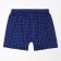 Panties men's boxers, dark blue/white point, size 54