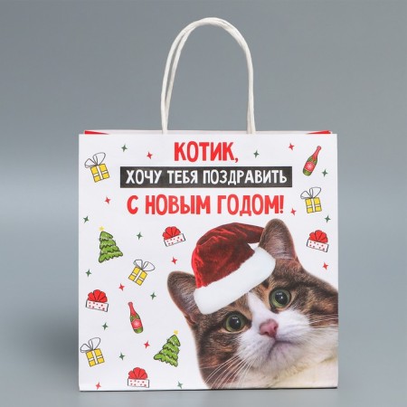 Package Gift Craft "Kotik", 22 x 22 x 11 cm, New Year-3