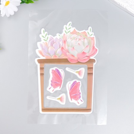 Stick on the switch "Sukkulets and butterflies" window 8.5x8.5 cm, volumetric 26x16.5 cm