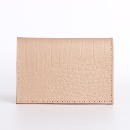 Cover for passport, powder color-2
