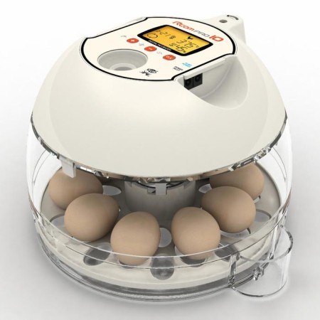 Incubator, 10 eggs, automatic coup, 120 V, rcom-2