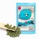 Chinese tea "Ginseng Ulun", 50 g (+ - 5 g)