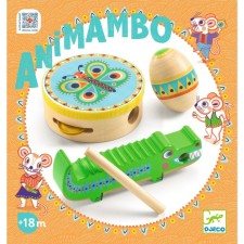 DJeco musical instruments set