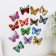 Magnet Plastic "Butterfly with double wings" mix 5x7 cm