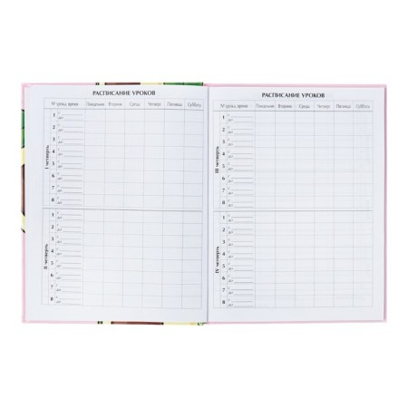 Universal diary for grades 1-11, avocato, solid cover 7BC, glossy lamination, 40 sheets-5