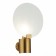 Sconces st. SL1231.301.01. Vittoria. 1x60 W, E14, 20x28 cm, brass color