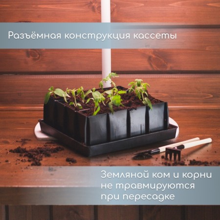 Set for seedlings: plastic inserts on 16 cells, 130 ml, plastic black pallet, 26.5 × 26.5 × 3 cm-5
