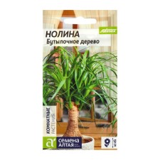 Seeds of indoor flowers Nolin 