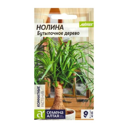 Seeds of indoor flowers Nolin "Bottle tree", 3 pcs.