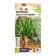 Seeds of indoor flowers Nolin "Bottle tree", 3 pcs.
