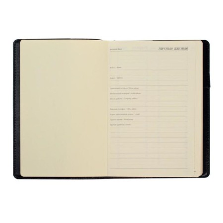 Diary Semi -dated A5, 208 PROFY sheets, reclaid leather, replaced block, gold cut, black-2