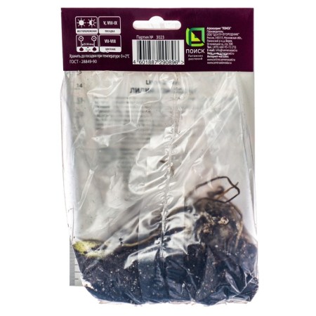 Lilia Asian terry Mast SI, 14/16 rr, 2 pcs. 100 h (cm), autumn 2024-1