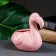 Pit "Flamingo" Pink, 13x12cm