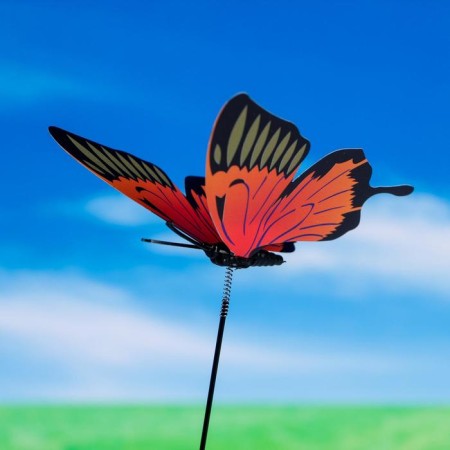 Plug "butterfly octavia" 8x10cm/25cm, mix-1