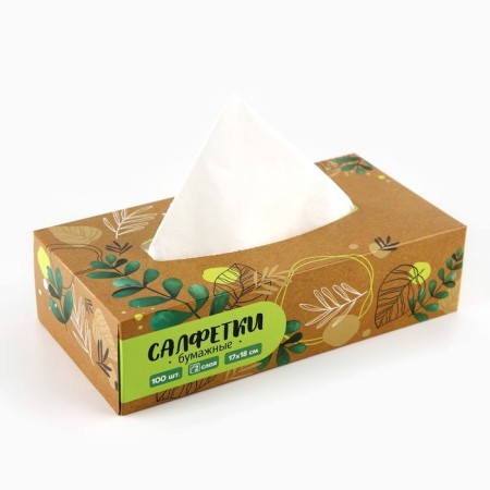 Paper napkins in the box "Eco", 100 pcs, two -layer-4