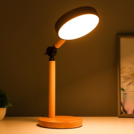 Piatti table lamp LED 5W 4000K USB black 15x25x45cm Risalux-2