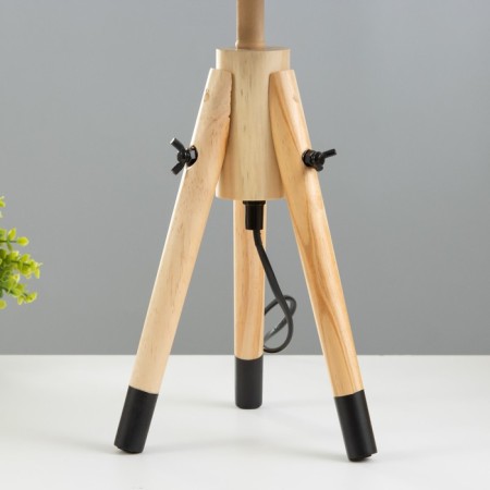 Hell lamp "Alsen" E27 40W black 24x24x48cm Risalux-3