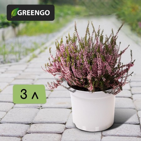Pot for seedlings, 3 l, d = 19 cm, h = 15 cm, white, greengo