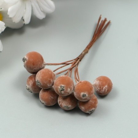 Decor for creativity "Berry of Rowan" 1 bouquet = 10 berries brown yoke 10x1.5 cm