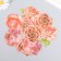 Stickers for creativity "Pink roses" set of 10 pcs 0.2x8.5x13.3 cm
