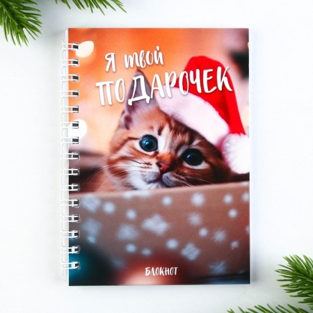 Gift New Year's set: a notebook on the A6 spiral, 60lists and magnetic bookmarks 2 pcs. "I am your gift"-1