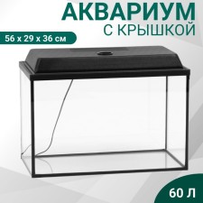 Aquarium 