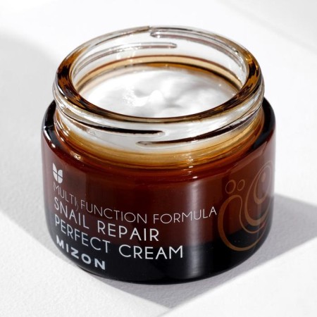 MIZON SNAIL REPAIR PERFECT CEM nourishing cream, 50 ml-1