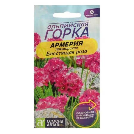 Flowers of Armeria "Brilliant Rose", 0.03 g