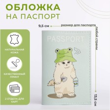 Cover for passport, mint color