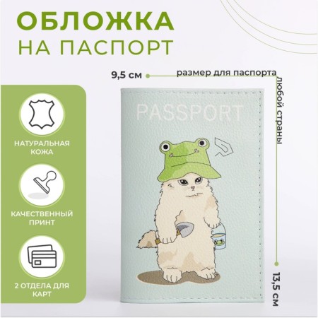 Cover for passport, mint color