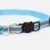 Cat Fleebing collar, 19-32 x 1 cm, blue