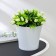 Kashpo for flowers with an insert "Arte", 2 l, white-black color